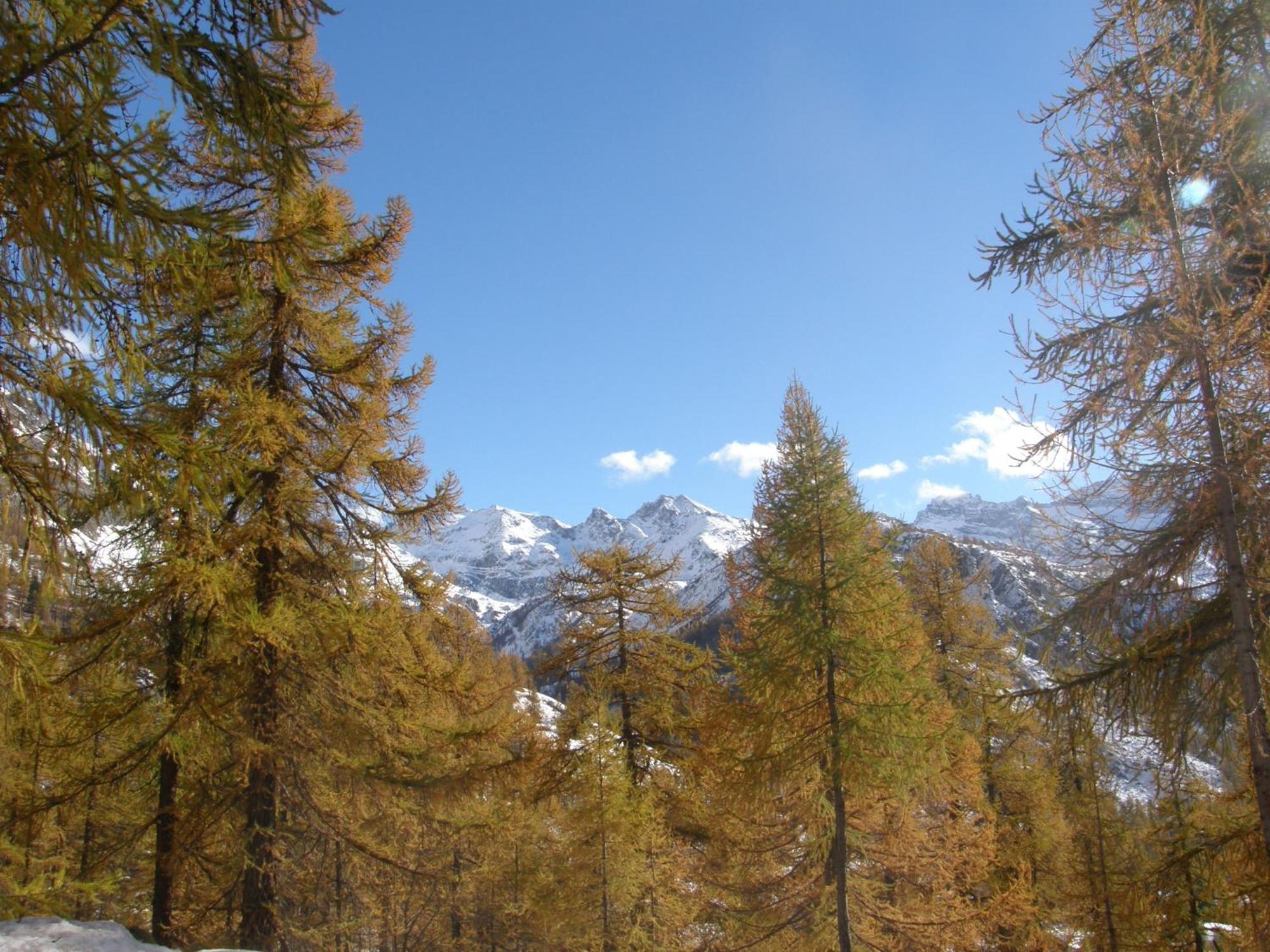 Hotel Gran Baita Gressoney-Saint-Jean Buitenkant foto