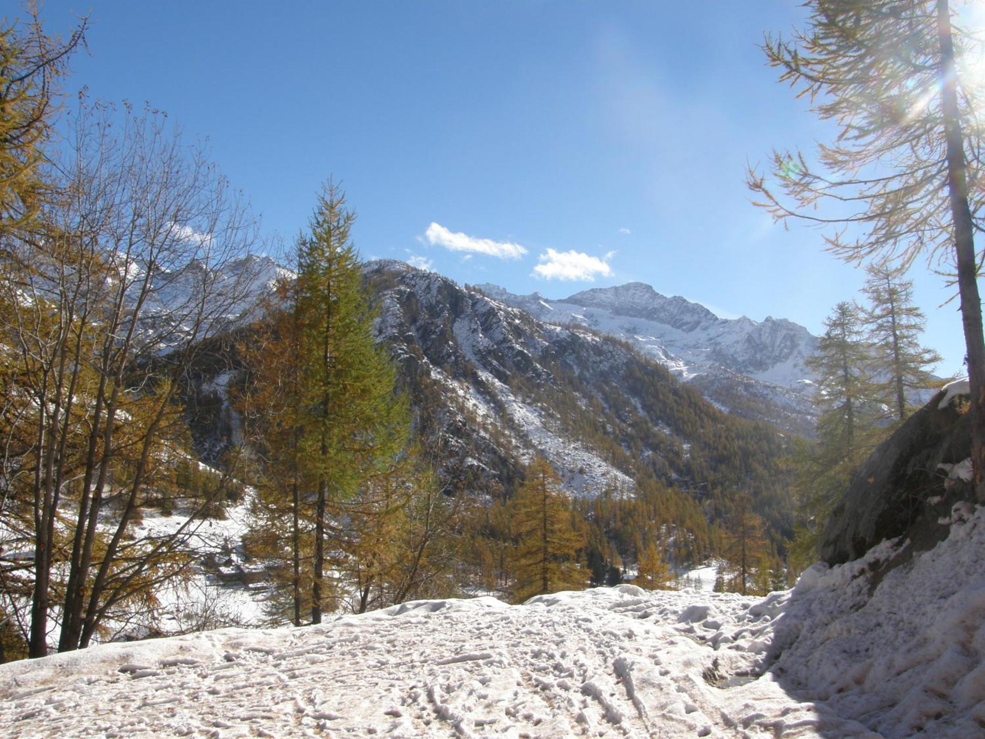 Hotel Gran Baita Gressoney-Saint-Jean Buitenkant foto