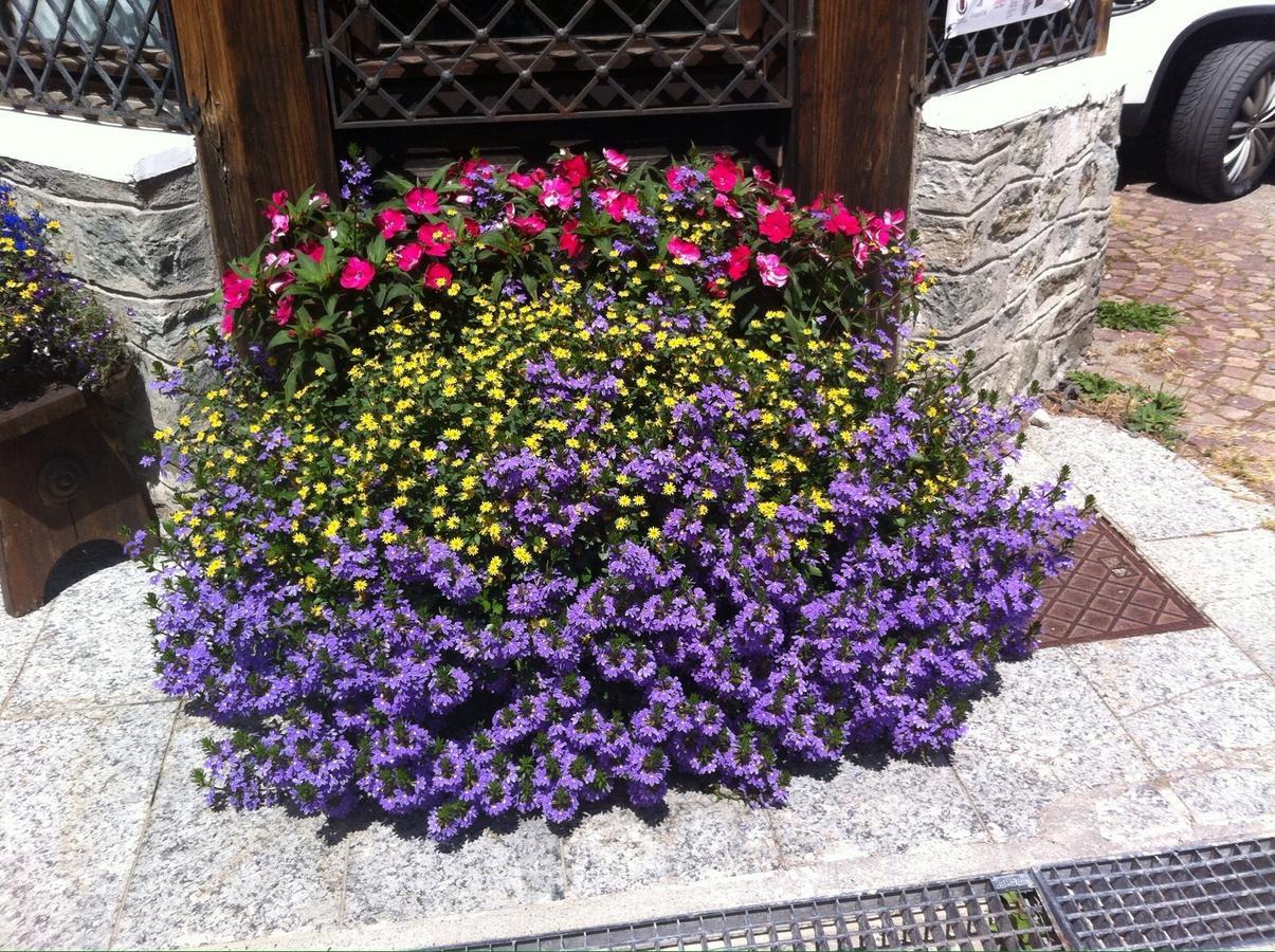 Hotel Gran Baita Gressoney-Saint-Jean Buitenkant foto