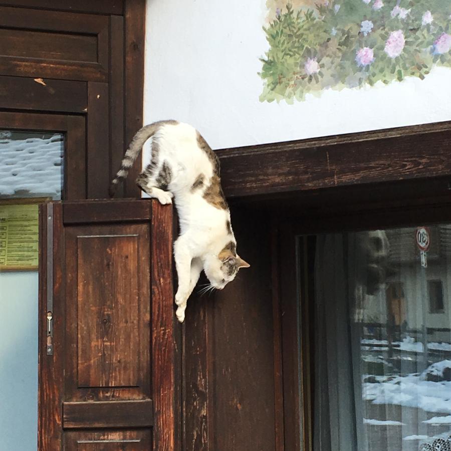 Hotel Gran Baita Gressoney-Saint-Jean Buitenkant foto